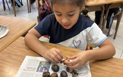 La tardor a l’escola: entre castanyes i carbasses